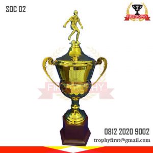 trofi sepak bola